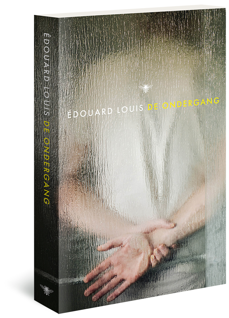 De ondergang - Édouard Louis