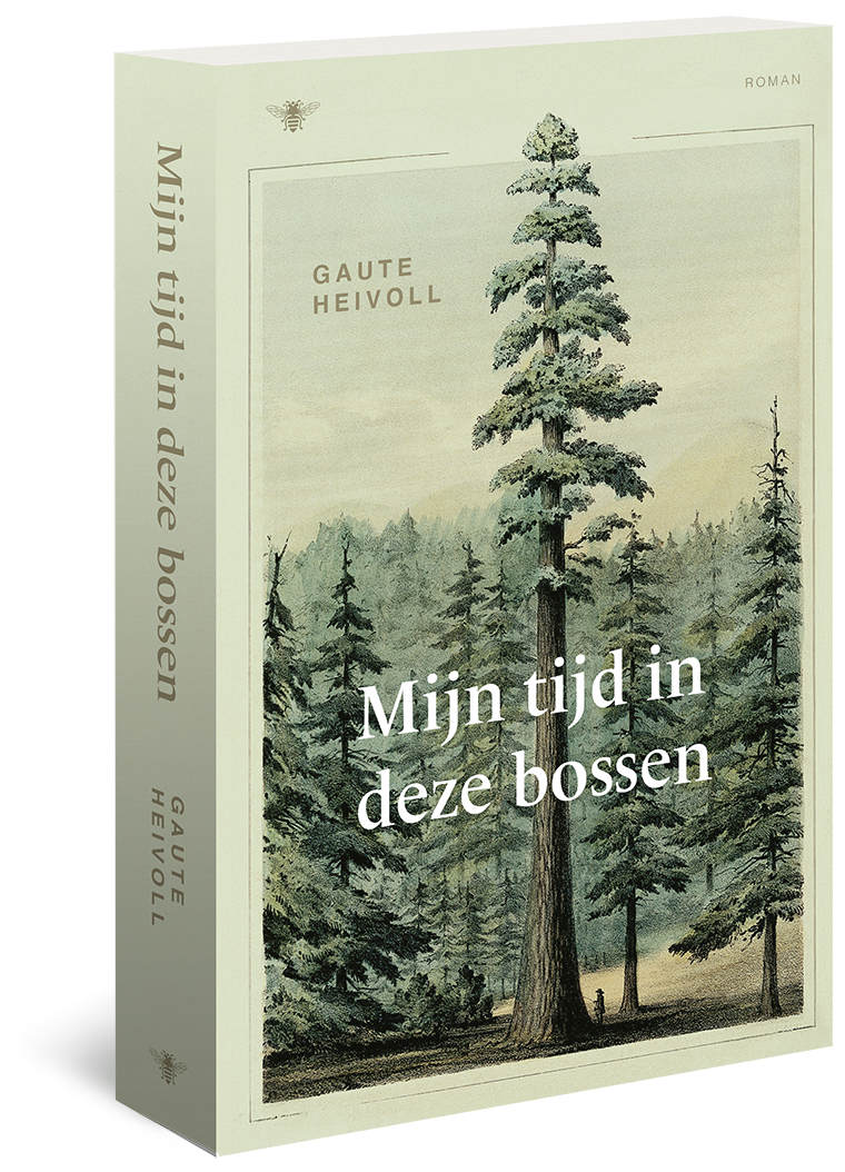 Mijn tijd in deze bossen - Gaute Heivoll