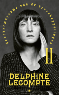 Beschermvrouwe van de verschoppelingen deel 2 - Delphine Lecompte