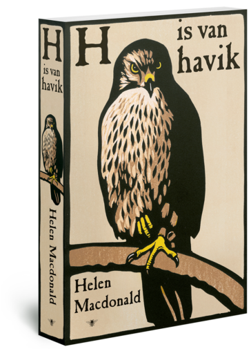 De h is van havik