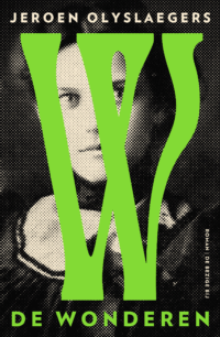 De wonderen - Jeroen Olyslaegers