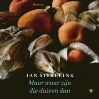 Maar waar zijn die duiven dan - Jan Siebelink
