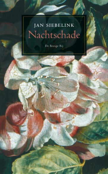 Nachtschade