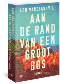 Aan de rand van een groot bos - Leo Vardiashvili