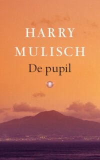 De pupil - Harry Mulisch