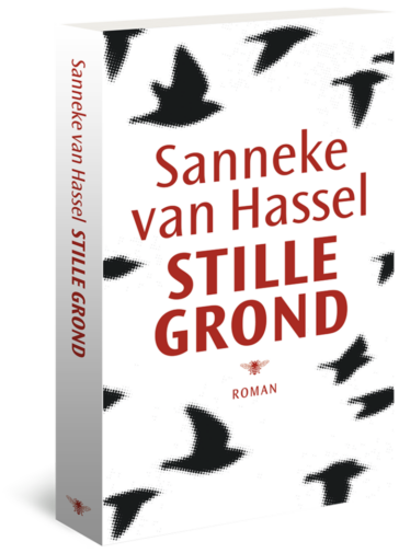 Stille grond