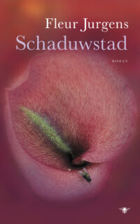 Schaduwstad - 