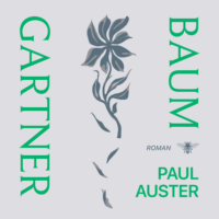 Baumgartner - Paul Auster