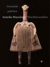 Wachtwoorden - Anneke Brassinga