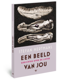 Een beeld van jou - Stefan Hertmans