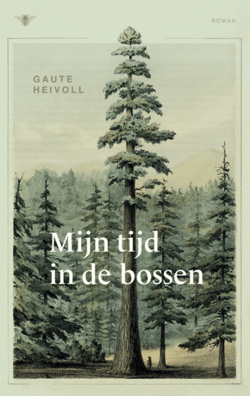 Mijn tijd in de bossen