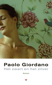 Het zwart en het zilver - Paolo Giordano