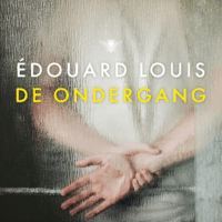 De ondergang - Édouard Louis