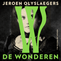 De wonderen - Jeroen Olyslaegers