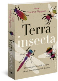 Terra insecta - Anne Sverdrup-Thygeson
