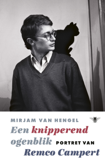 Een knipperend ogenblik