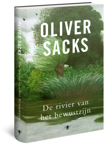 Rivier van het bewustzijn