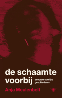 De schaamte voorbij - Anja Meulenbelt