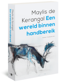 Een wereld binnen handbereik - Maylis de Kerangal