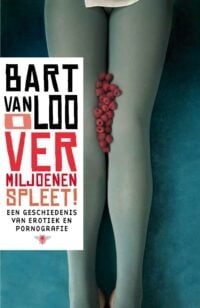 O vermiljoenen spleet - Bart van Loo