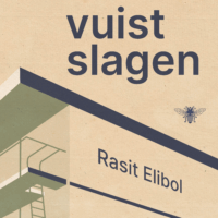 Vuistslagen -