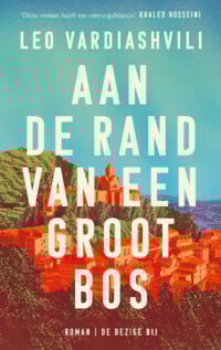 Aan de rand van een groot bos - Leo Vardiashvili