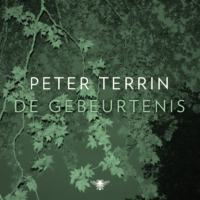 De gebeurtenis - Peter Terrin