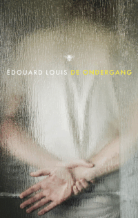 De ondergang - Édouard Louis