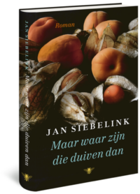 Maar waar zijn die duiven dan - Jan Siebelink