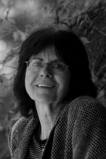 Ilana Hammerman