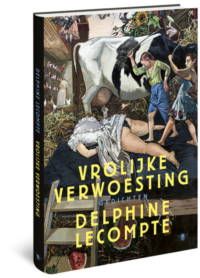 Vrolijke verwoesting - Delphine Lecompte