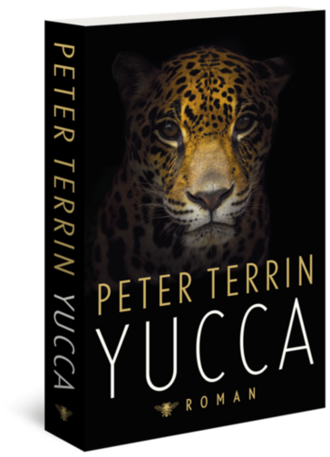 Yucca