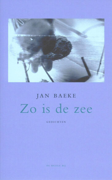 Zo is de zee