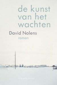 De kunst van het wachten - David Nolens