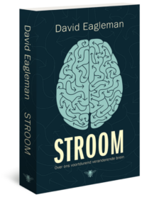 Stroom - David Eagleman