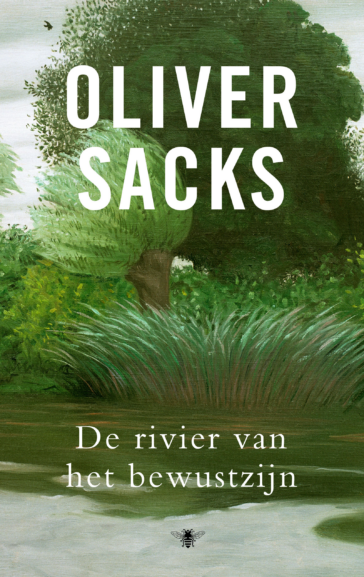 Rivier van het bewustzijn