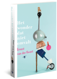 Het wonder dat niet omvalt - Ernest van der Kwast