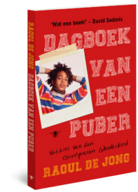 Dagboek van een puber - Raoul de Jong