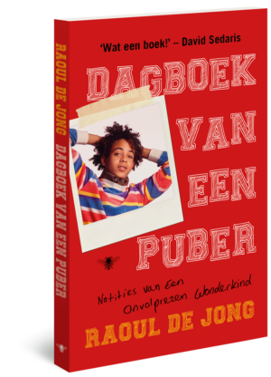 Dagboek van een puber - Raoul de Jong