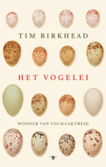 Het vogelei