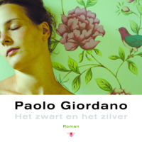 Het zwart en het zilver - Paolo Giordano