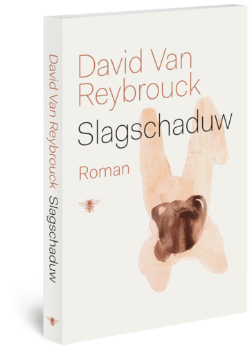 Slagschaduw