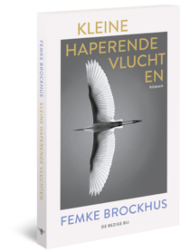 Kleine haperende vluchten - Femke Brockhus