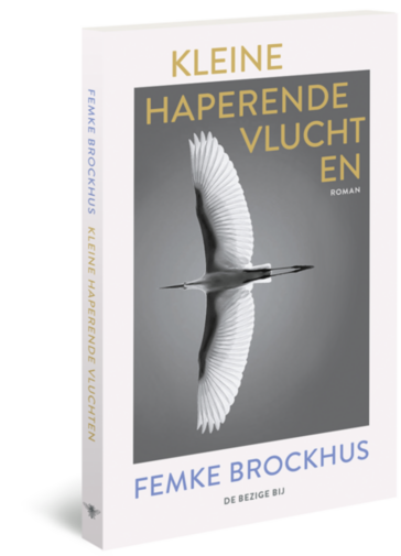 Kleine haperende vluchten